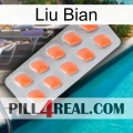 Liu Bian 26